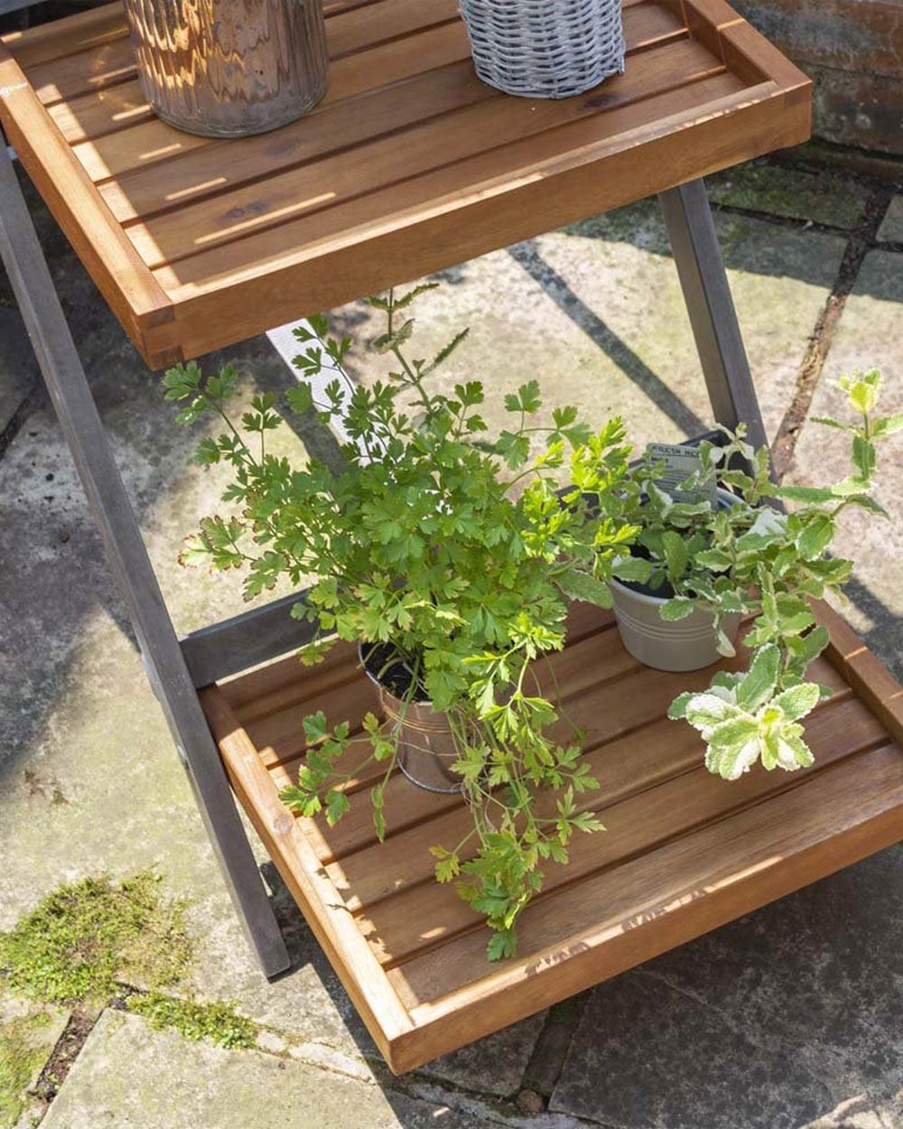 Alderley Hardwood Plant Ladder 3 Tier Stand Large Grey Rowlinson - Image 3