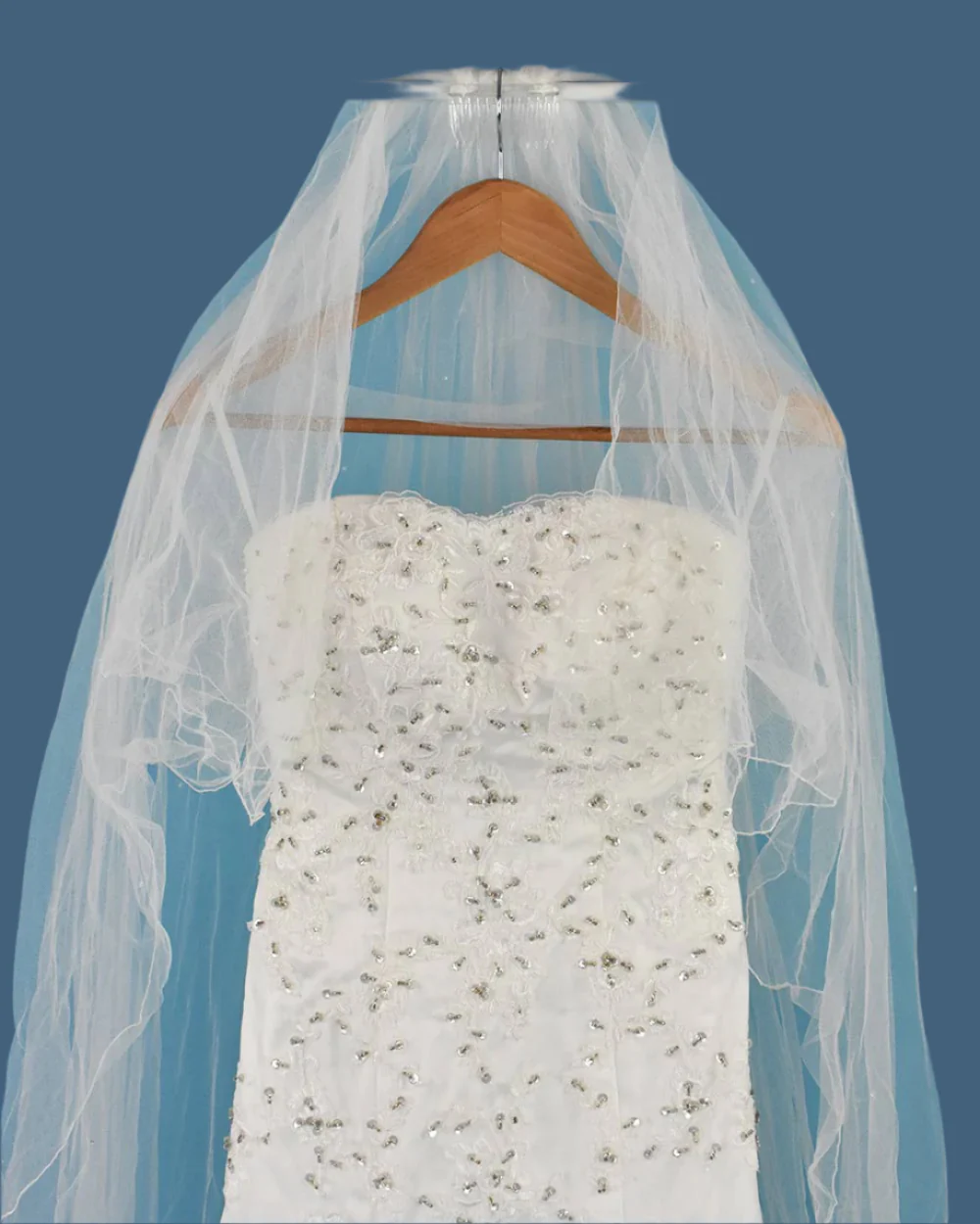 Anna Sorrano Pale Ivory Fishtail Wedding Dress Size 8 - Image 8
