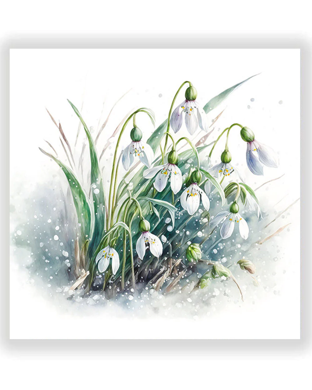 Charity Christmas Cards Pack Of 10 Snowdrops - Image 2