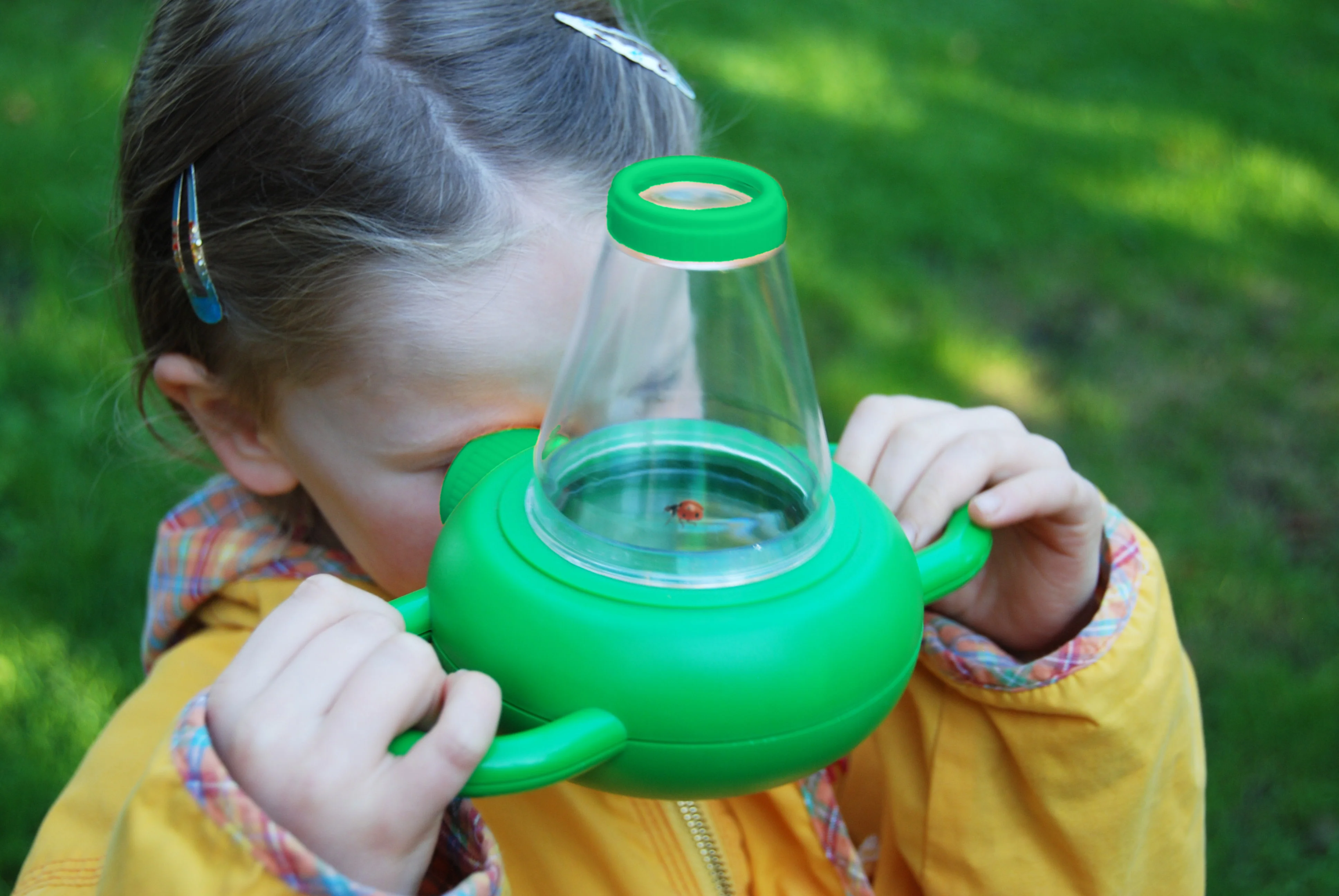 Childrens Insect Study Box Green - Image 2