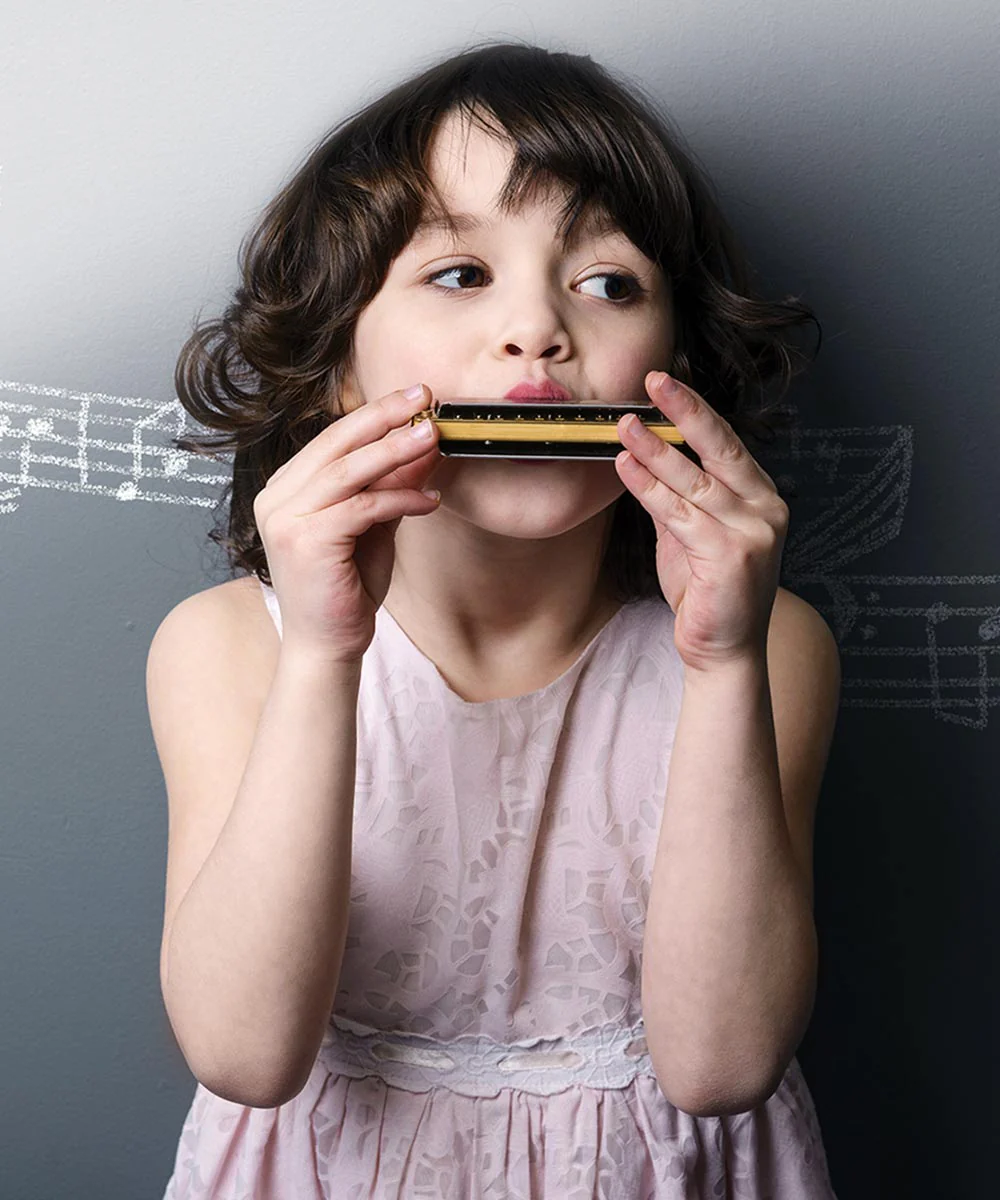 Classic Harmonica Musical Instrument, 3+