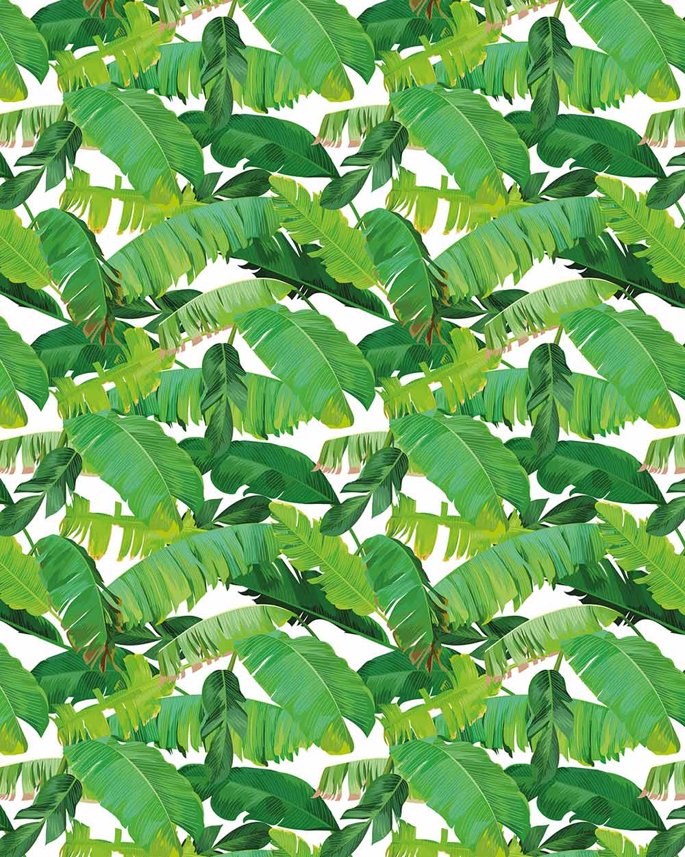 Gift Wrapping Paper Set Tropical Leaf - Image 4