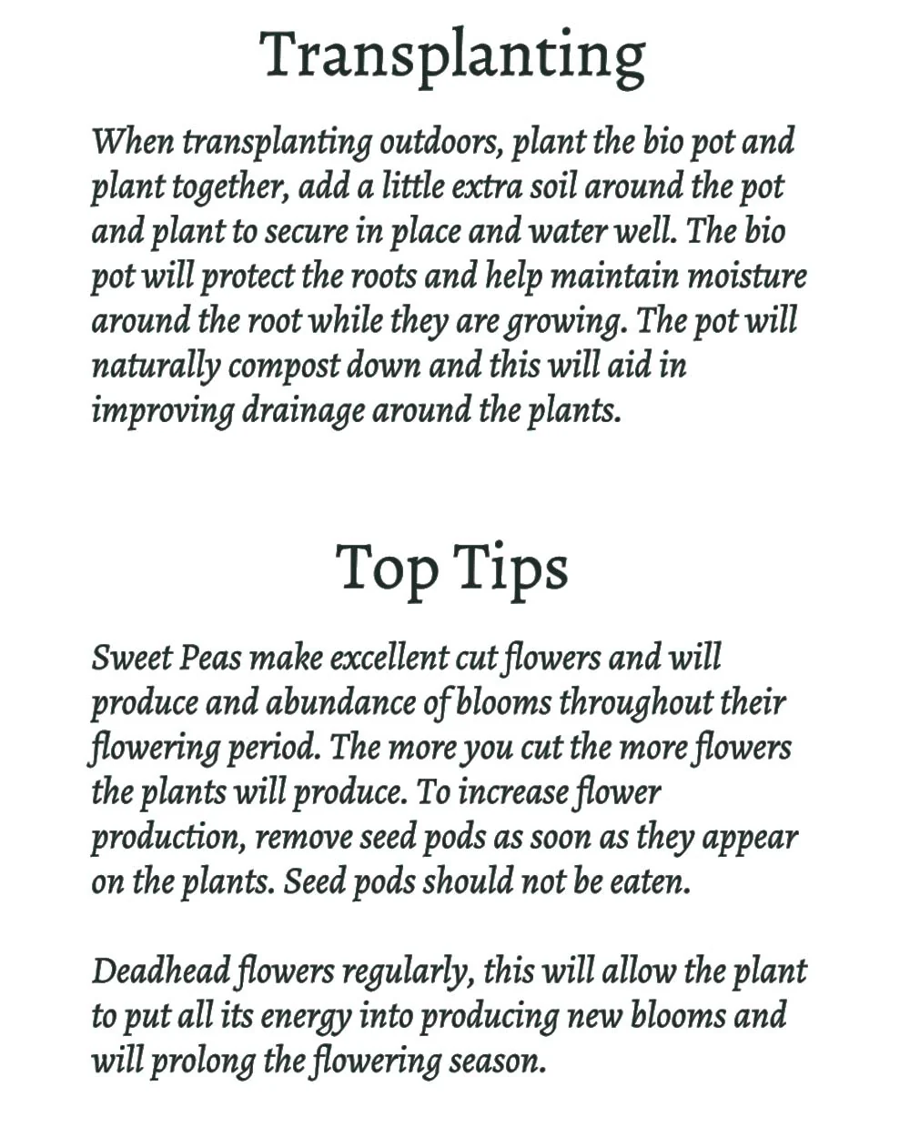Grow Your Own Climbing Flower Gift Set - Image 3