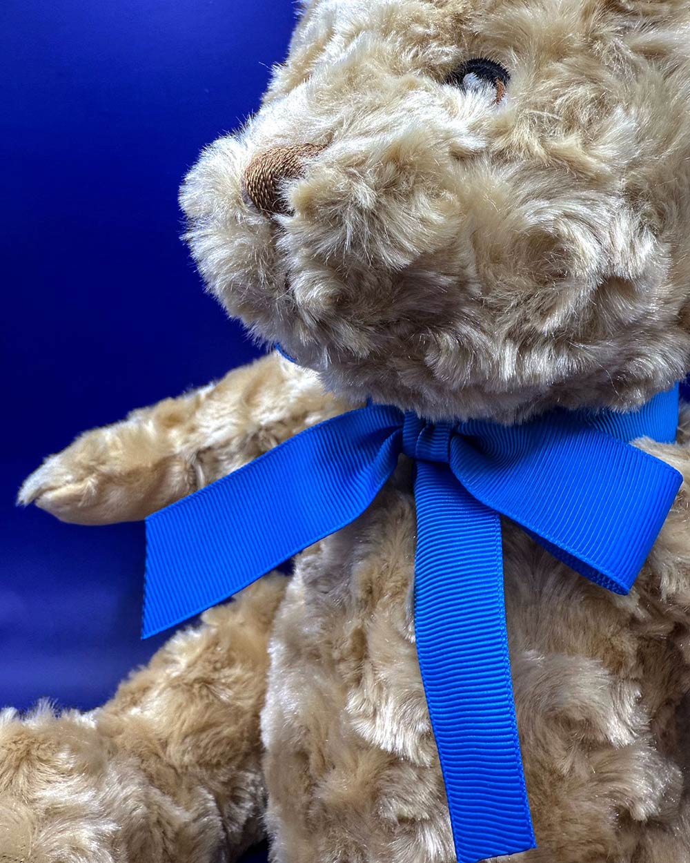 Keeleco Teddy Bear With Ribbon 25cm - Image 4