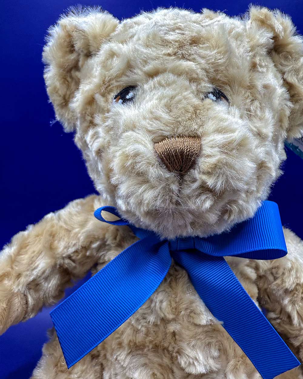 Keeleco Teddy Bear With Ribbon 25cm - Image 6