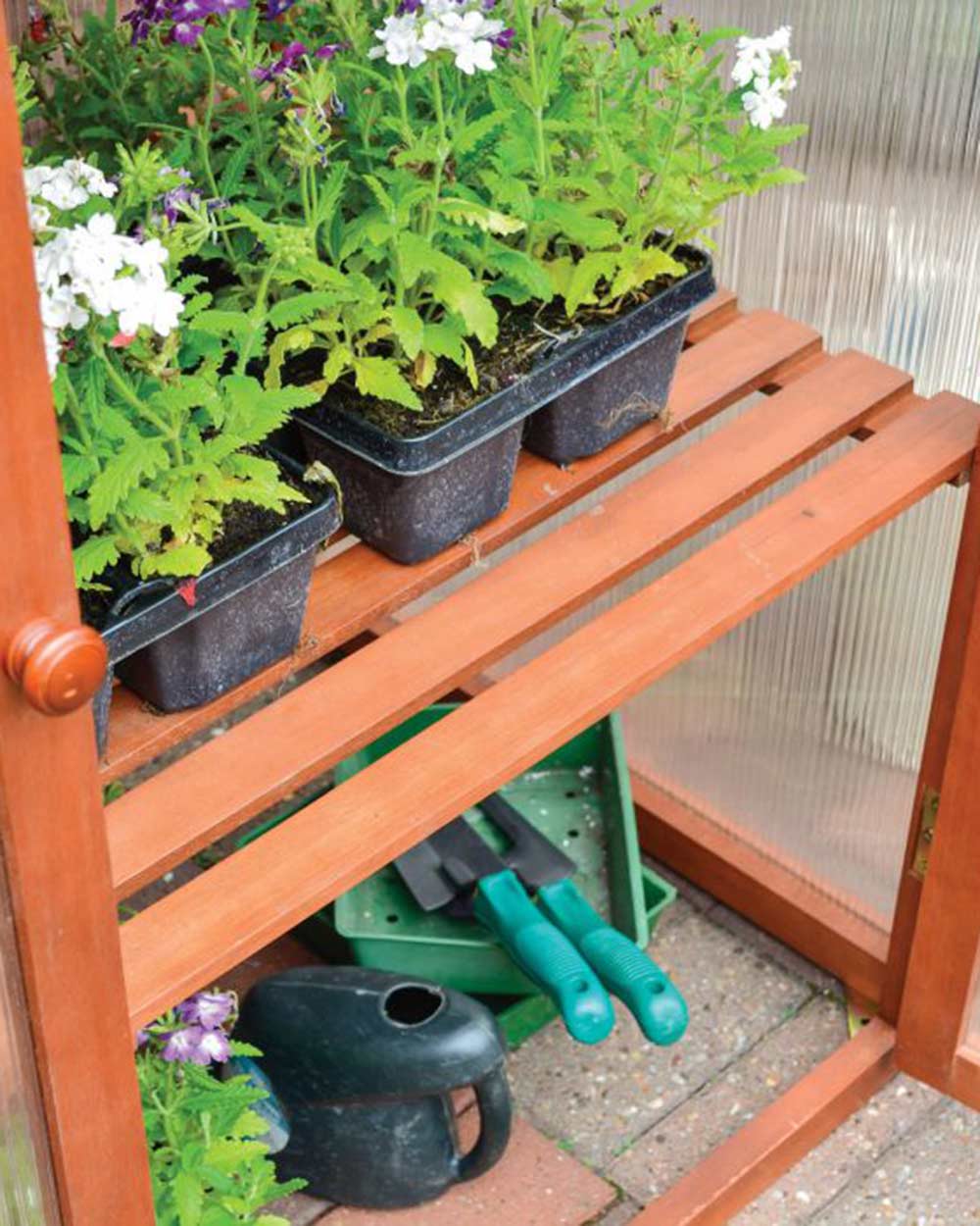 Small Wooden Greenhouse Hardwood Mini Rowlinson - Image 4