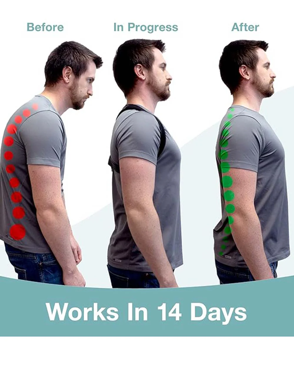 The Restored Back Posture Corrector for Men and Women - Image 5