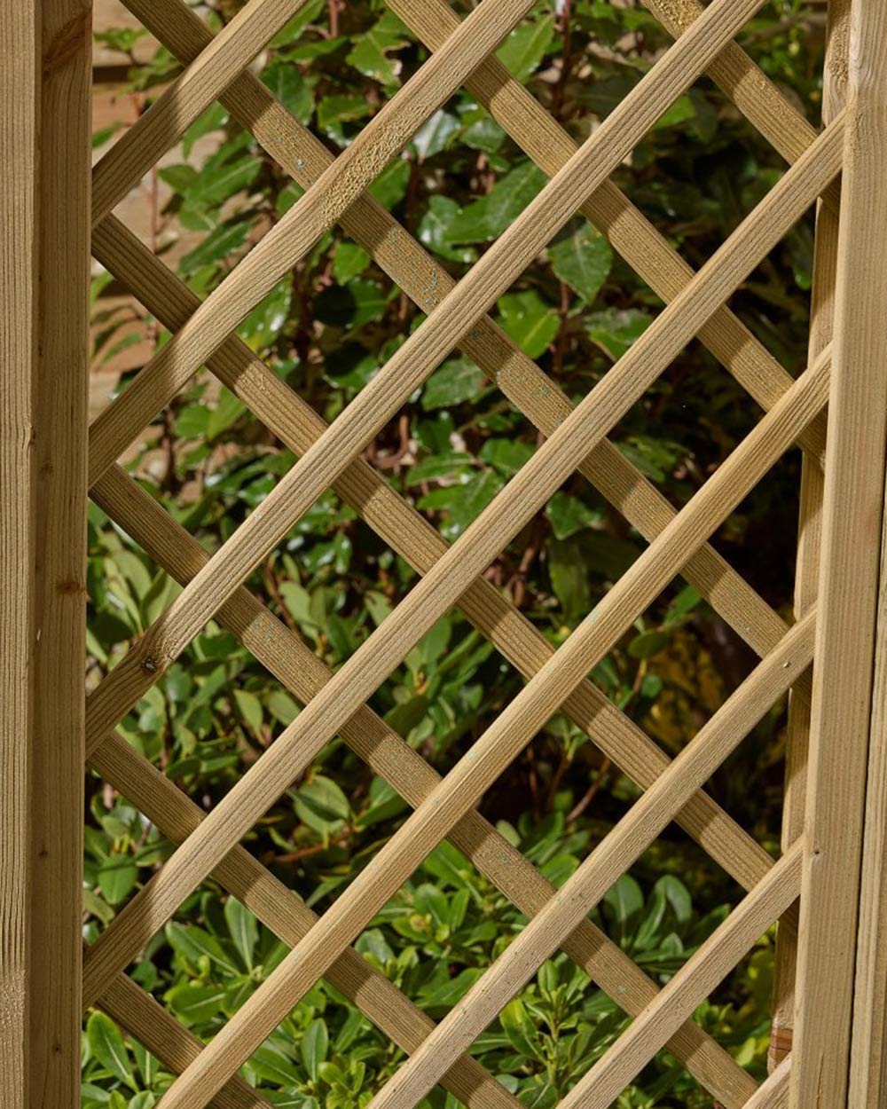 Wide Garden Arch Broadway Pergola Rowlinson - Image 3